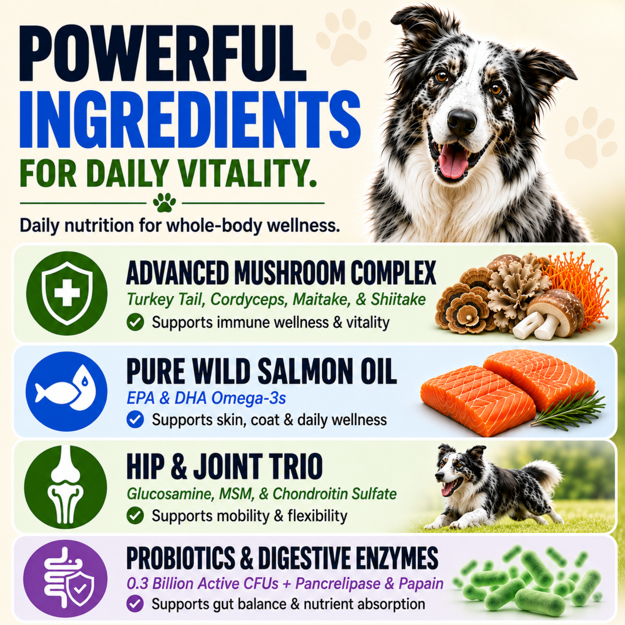 Prime Multi Soft Chew Multivitamin