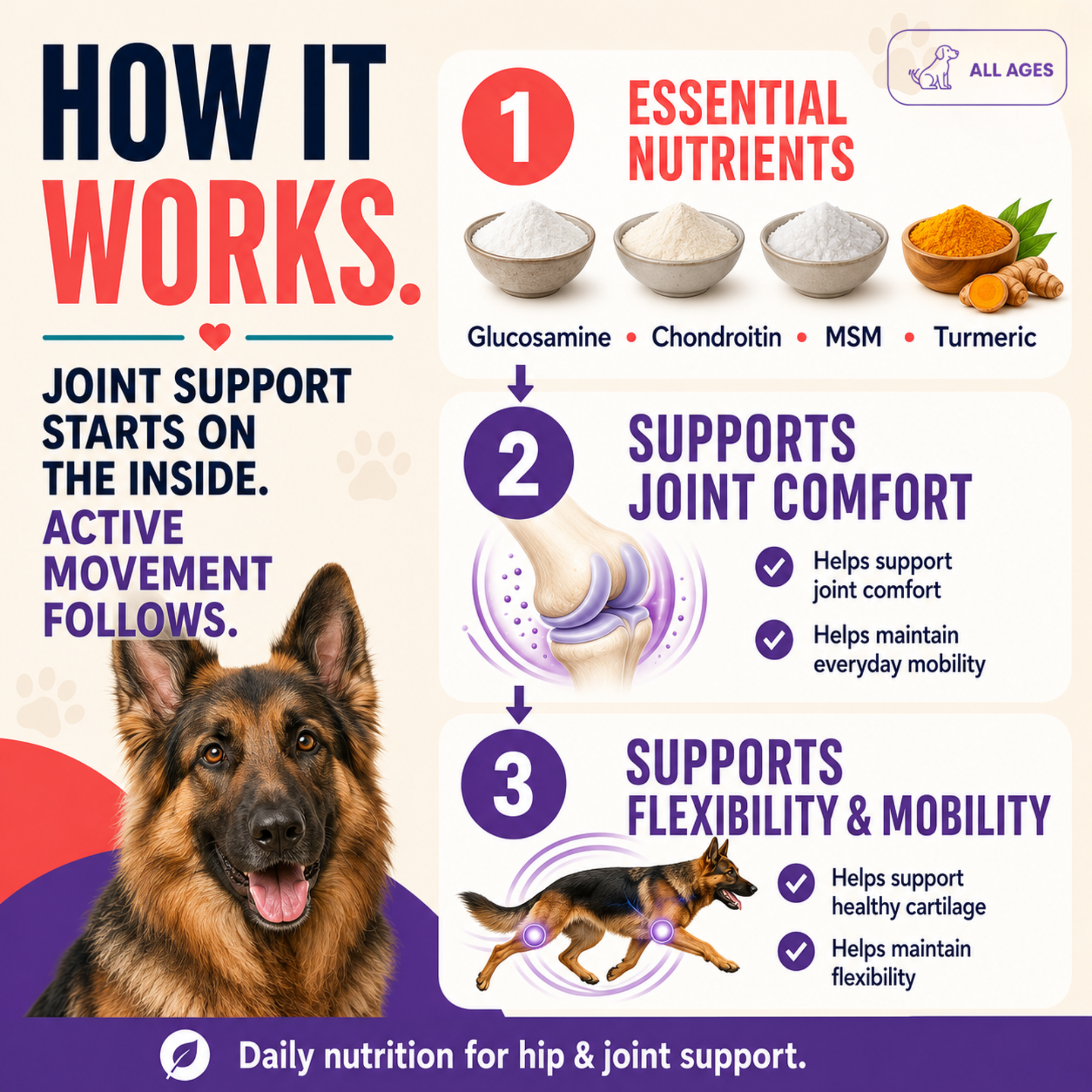 Prime Flex Hip & Joint Soft Chews for Dogs