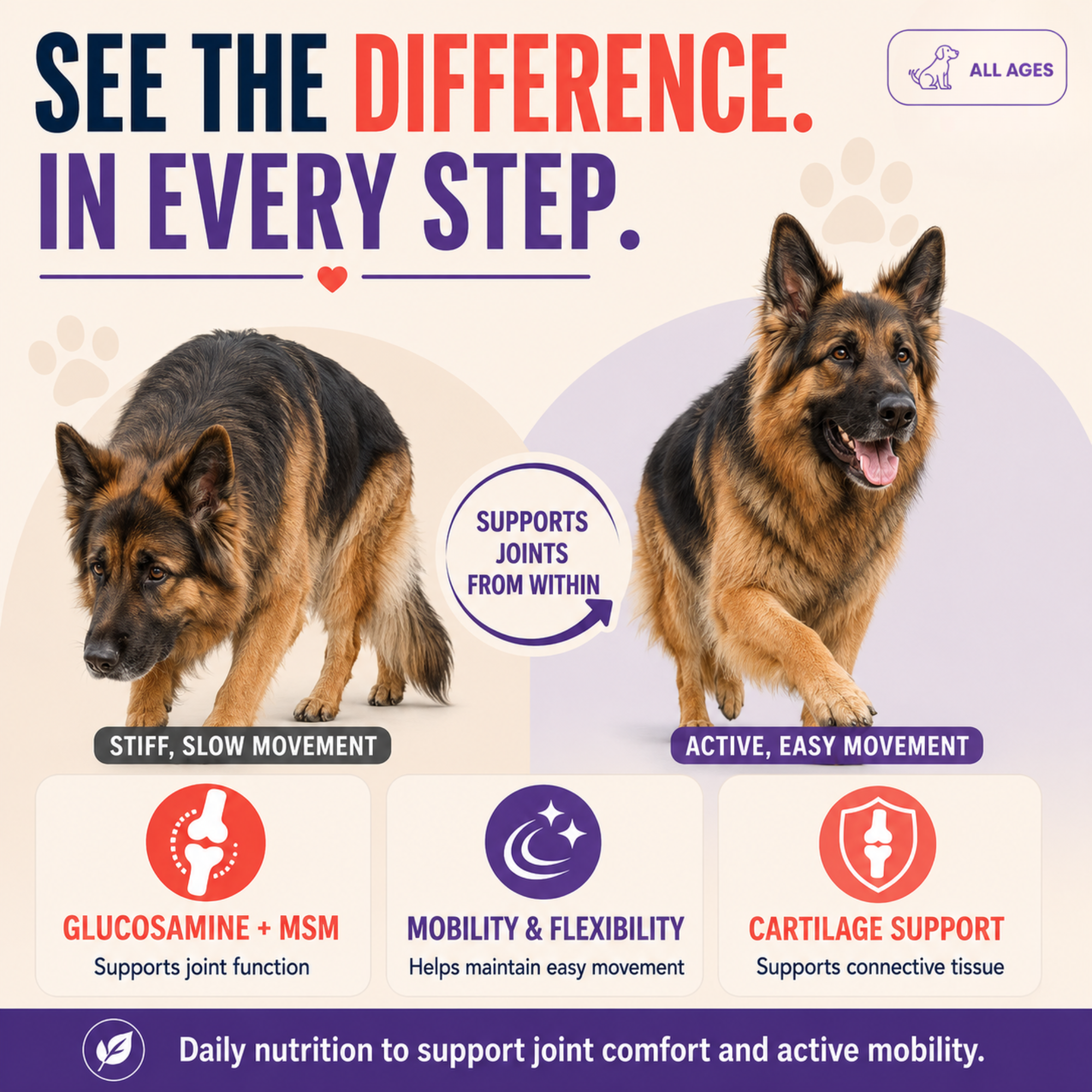 Prime Flex Hip & Joint Soft Chews for Dogs