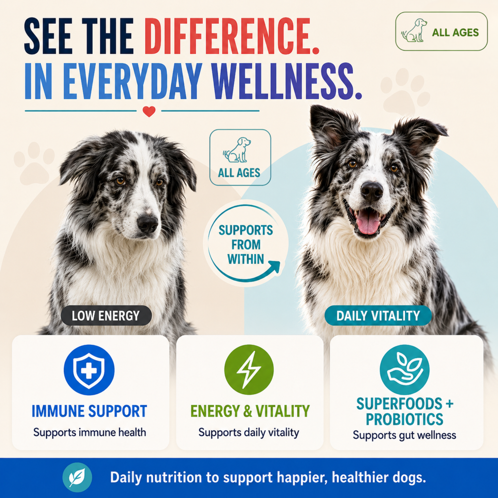 Prime Multi Soft Chew Multivitamin