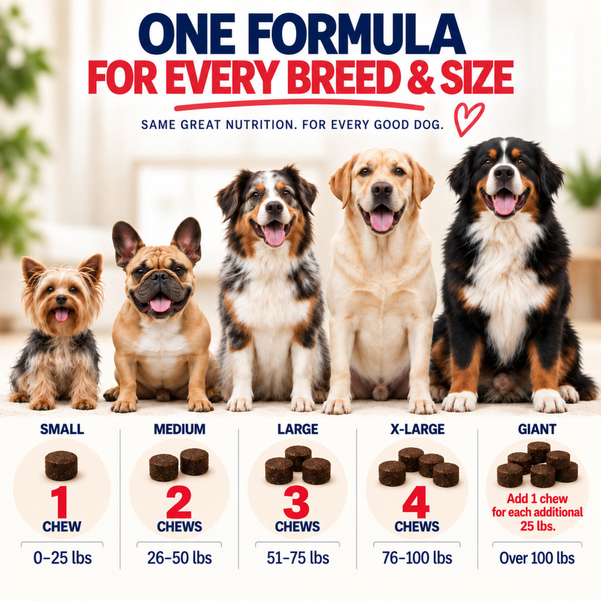 Prime Coat Soft Chews for Skin & Coat
