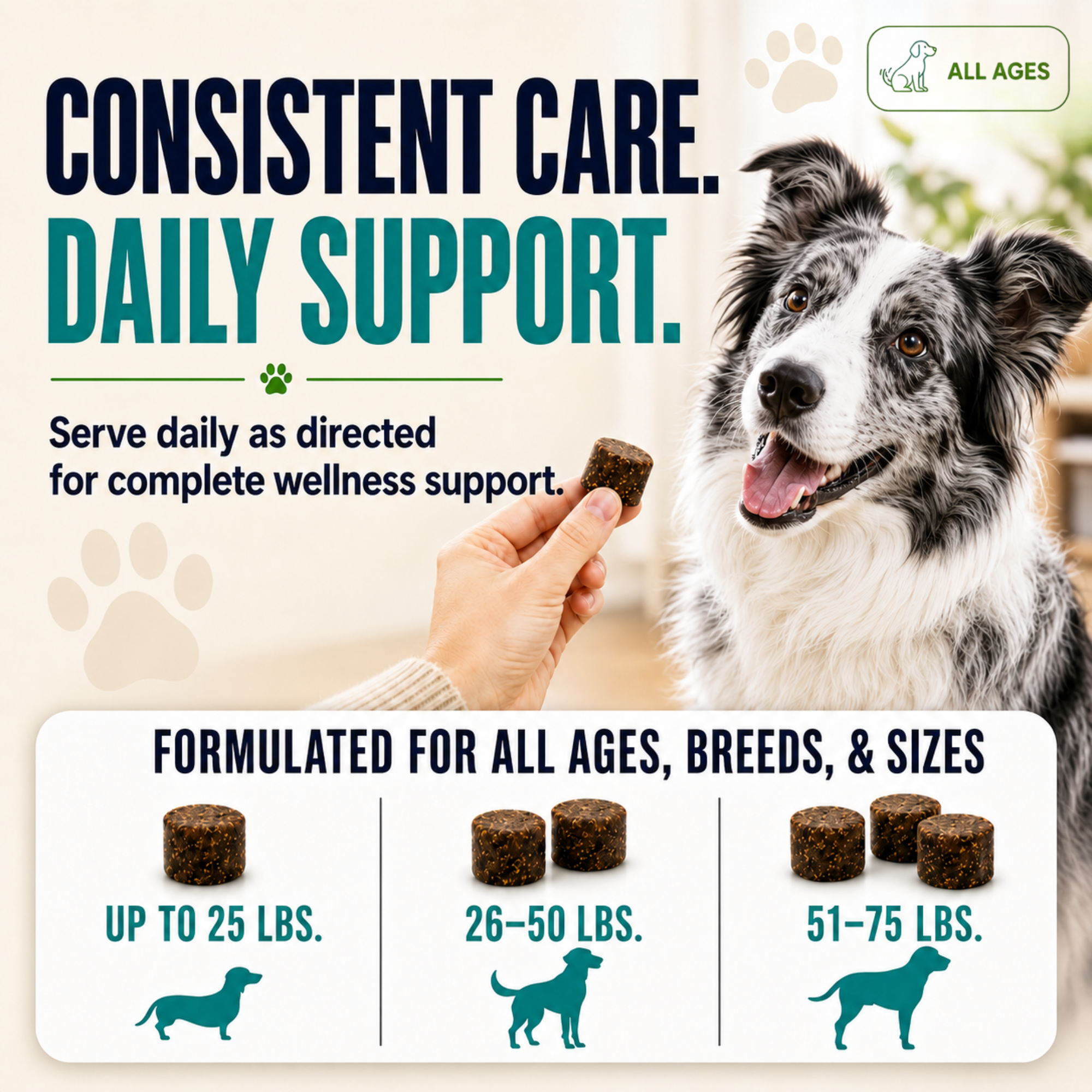 Prime Multi Soft Chew Multivitamin