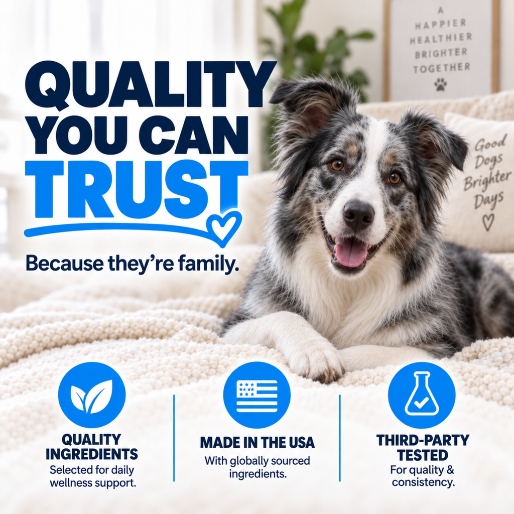 Prime Multi Soft Chew Multivitamin
