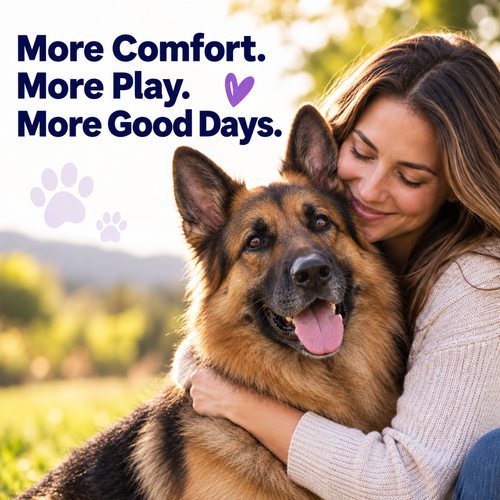 Prime Flex Hip & Joint Soft Chews for Dogs